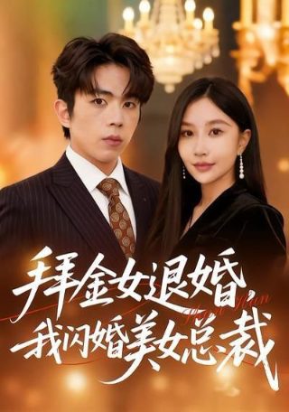 菜鸟老警 电视剧多少季