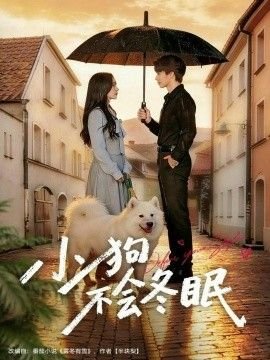 《人猿泰山》动画电影在线观看
