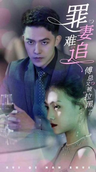 播放彩虹小马