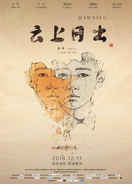 神探刘青云剧情是什么