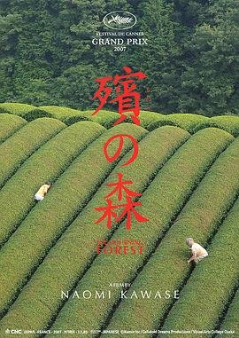 穿越王妃想和离演员表
