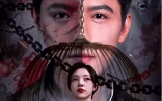 密查剧情简介概括