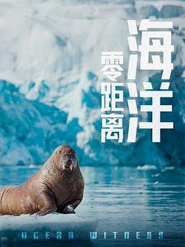 《四海》电影免费观看完整版高清视频大全下载