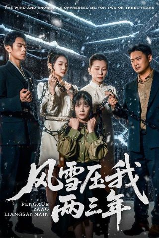 《天网》栏目2025年视频全集下载