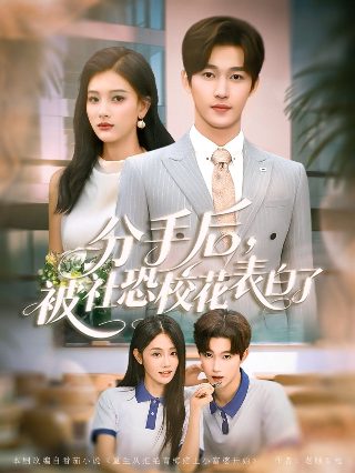 理想之城剧情介绍13集在线观看视频