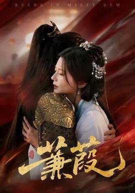 沈先生为何要这样对我电视剧