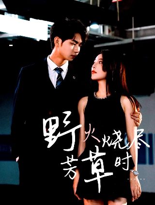 铁核桃第34集免费播放