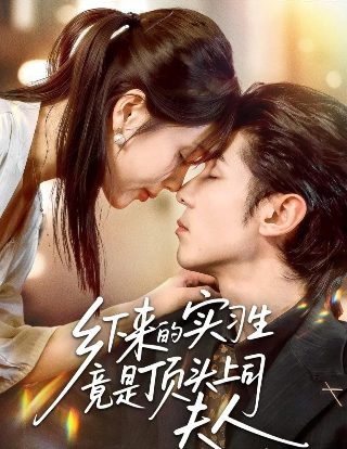 电视剧寻亲免费观看全集播放