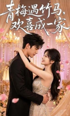 茶母电视剧在线观看全集免费版