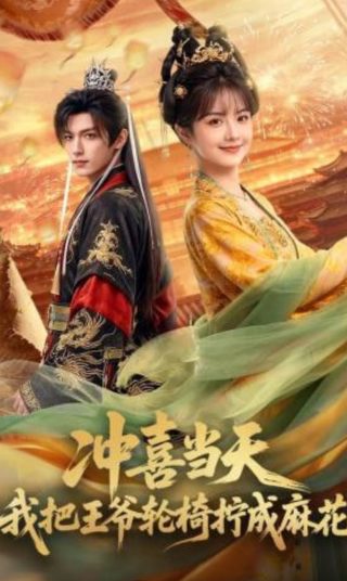 《情之债》电视剧免费观看全集高清版