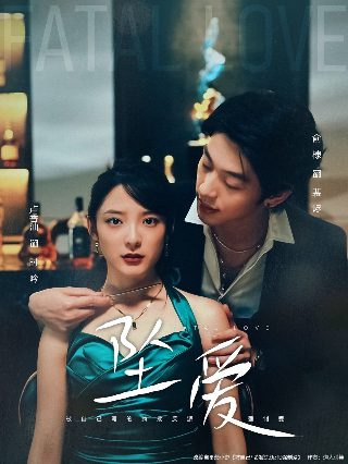 东北奇缘剧情介绍全集免费观看下载