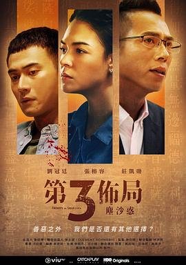 意外英雄剧照