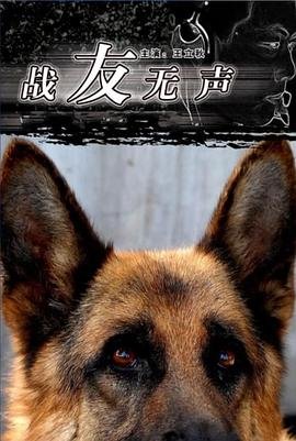 神秘代码在线观看免费观看