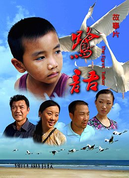 阿衰第十六集免费观看下载安装