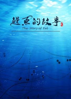 乐视电视剧苦乐村官在线观看完整版