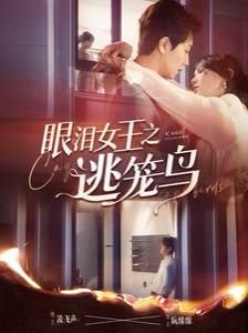 歌曲《爱恋》女声版视频播放大全
