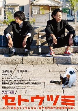 我们的翻译官24集完整版在线观看