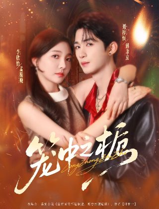 中国刑警803第三集剧情介绍大结局是什么
