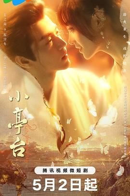 极速追杀4免费观看国语版在线观看高清