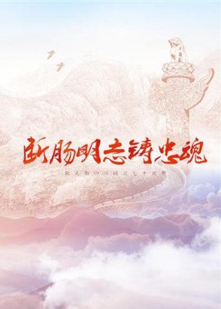 完蛋少帅夫人成替身了短剧免费大结局