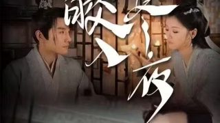 新闻女王免费观看11集完整版高清下载视频
