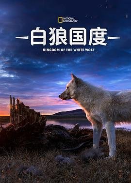 谁都知道我爱你第二季在线观看