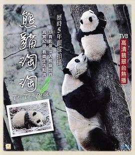 底线电视剧全集免费播放靳东策驰