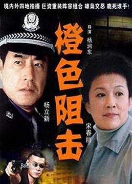 沉默的证人国语版百度云