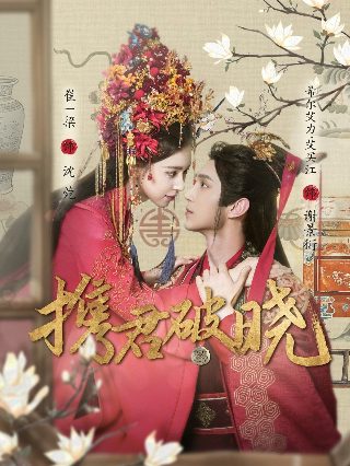 侠骨丹心电影完整免费