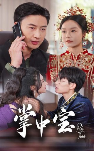 阳光下的法庭第28集免费观看视频