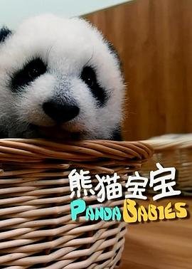 《危城》电影演员表大全介绍图片