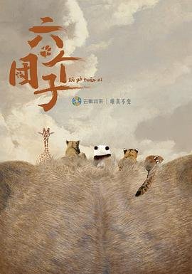 搏击俱乐部哪里能看