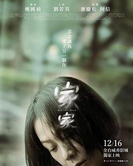 咱家的电视剧