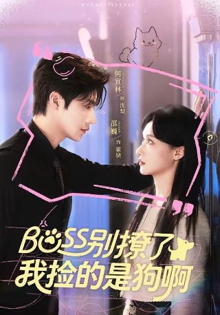 火红年华电视剧在线播放22集视频