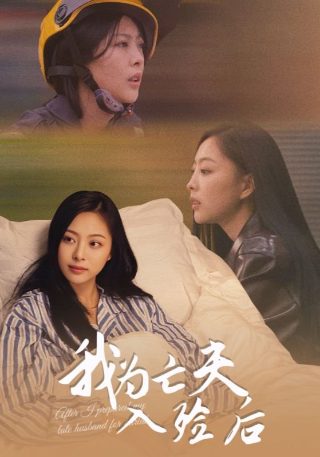 电视剧全家福片尾曲