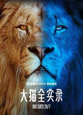 风雨唐人街全集免费播放