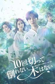 电影《九阴真经》在线观看全集免费版下载安装
