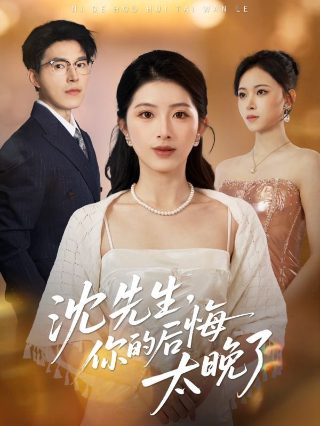 真心英雄完整版全集下载免费观看