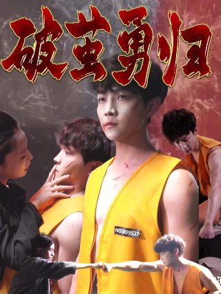 装台全集38集免费观看电视剧