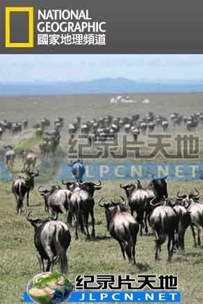 爱情是从告白开始的第18集在线观看