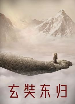 意外电影结局揭秘视频播放时间