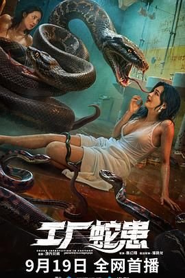 歌海情天电视剧结婚第几集