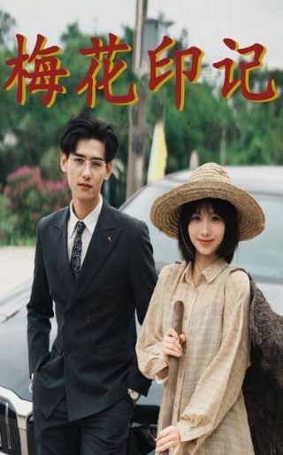 拜托小姐 剧情介绍大结局