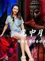 枪神电视剧张响40集