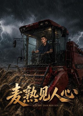 《大鱼海棠2》动漫在线看免费版全集下载