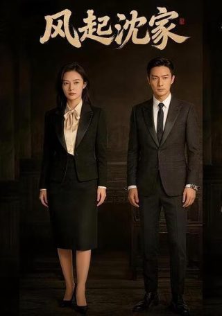 阴阳先生 百度网盘下载