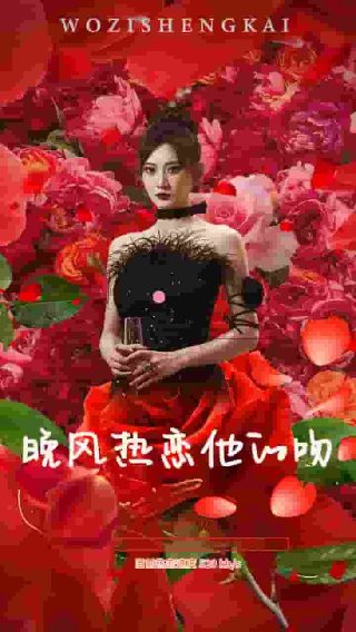 航海王1028集在线观看免费