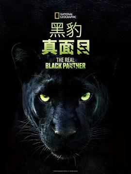 上班族的恶作剧在线观看