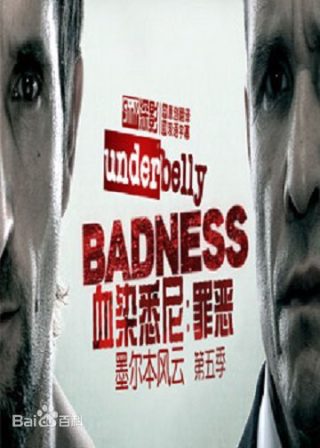 主角大结局详情解析大全最新