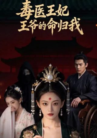 狐影剧情介绍大结局
